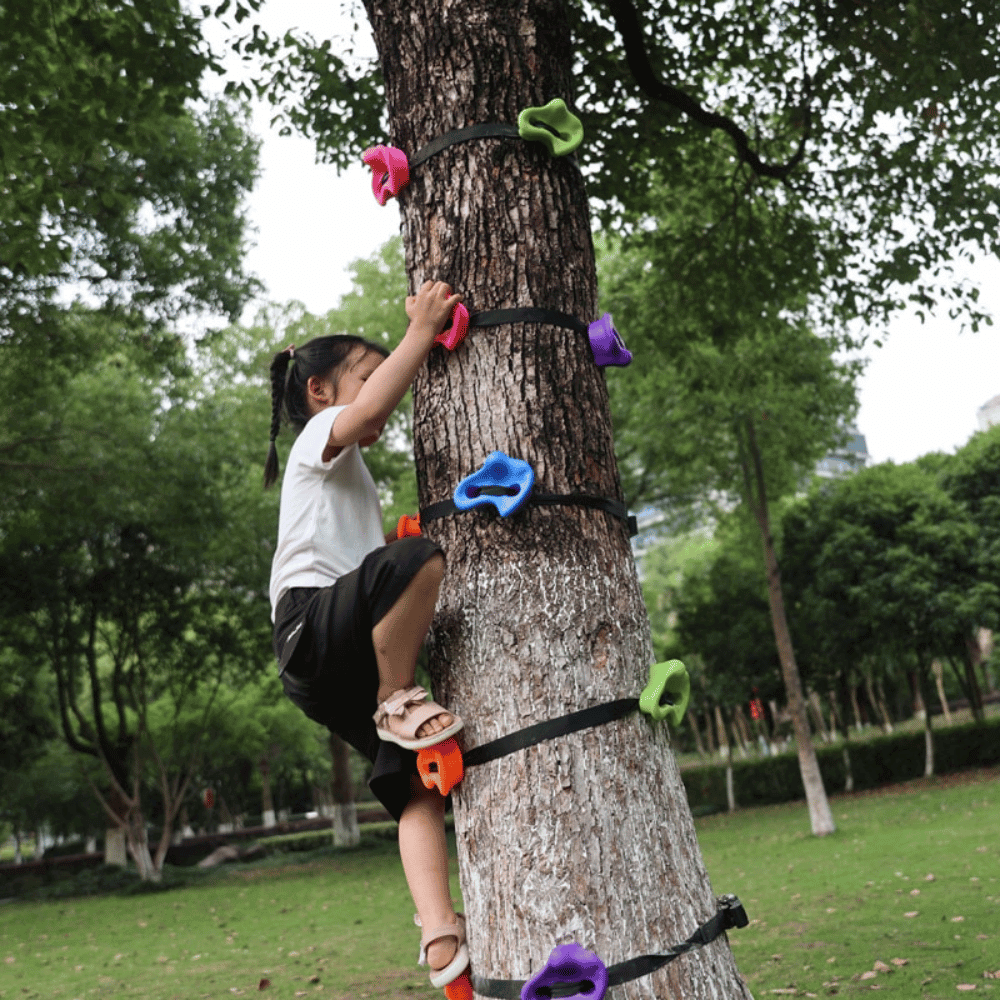 New Way of Parent-Child Interaction! Kids Backyard Rockclimbing Kit, Create an Exclusive Family Sports Haven
