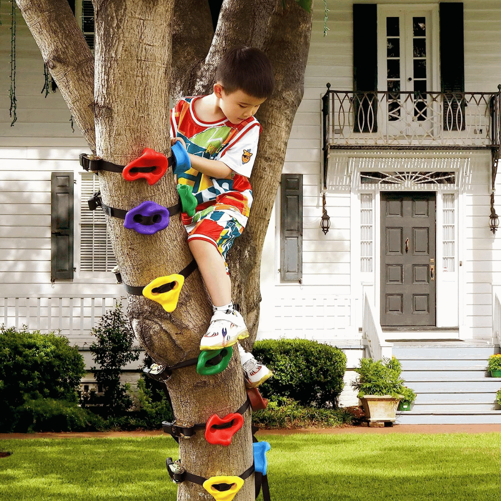 New Way of Parent-Child Interaction! Kids Backyard Rockclimbing Kit, Create an Exclusive Family Sports Haven